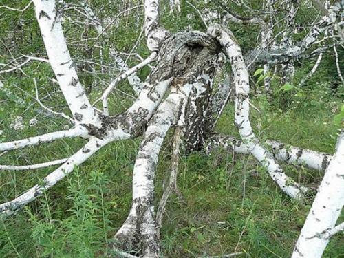 Медведицкая гряда. Ezomir. 01