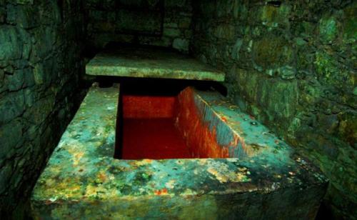 Мексика, паленке. Ezomir. 07 Мексика, паленке. Ezomir. 07