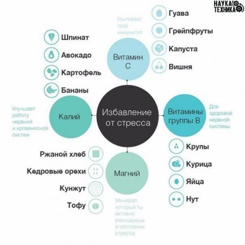 Помоги себе едой. 03