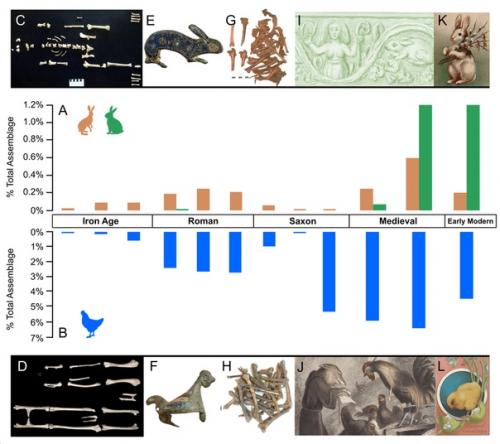 Древние англичане курицам и зайцам поклонялись. 01