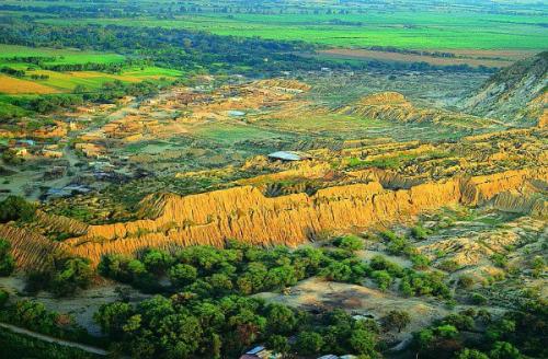 История успеха.  Виктория Бекхэм.