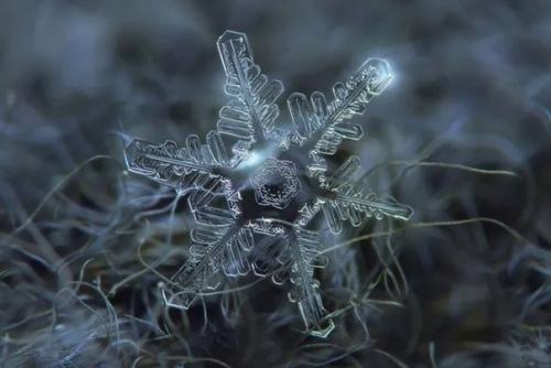 Уникальная красота. Работы московского фотографа Алексея клятова стали известны широкой публике еще в 2013 году. 03