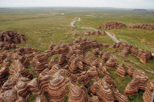Индийский эликсир долголетия. 01 Индийский эликсир долголетия. 01