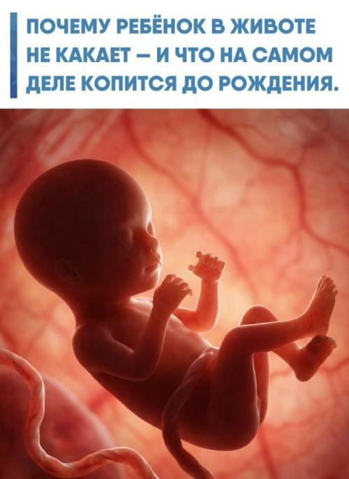 Внутриутробно кишечник у ребёнка не 