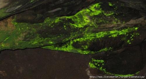 Чёртово городище в калужской области. 08 Чёртово городище в калужской области. 08