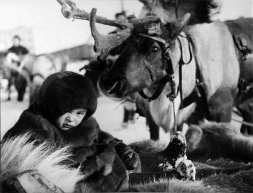 Молодой человек, гуляя по питеру, заметил гору выброшенного хлама. 03