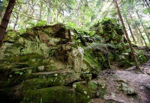 Чёртово городище в калужской области. 01 Чёртово городище в калужской области. 01