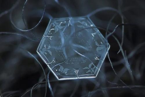 Уникальная красота. Работы московского фотографа Алексея клятова стали известны широкой публике еще в 2013 году. 04