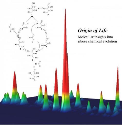 Компонент рнк сахар рибоза может быть широко распространен в космосе. Компонент рнк сахар рибоза может быть широко распространен в космосе.