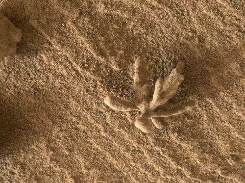 Nasa объяснило природу необычного объекта на марсе, напоминающего праздничный колпак. 02