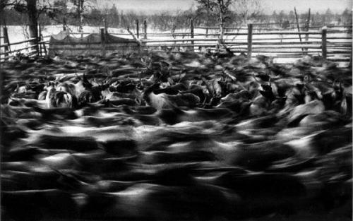 Молодой человек, гуляя по питеру, заметил гору выброшенного хлама. 07