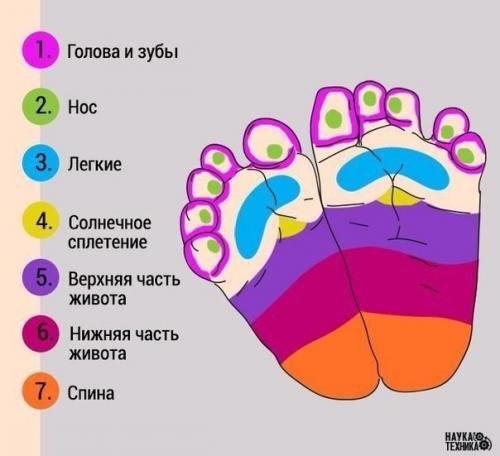Как при помощи массажа ног успокоить плачущего младенца? Как при помощи массажа ног успокоить плачущего младенца?