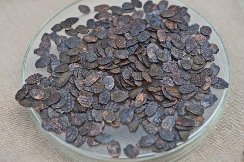 Осенью 2015 года во время раскопок столичного зарядья был найден один из самых крупных кладов в истории московской археологии.  