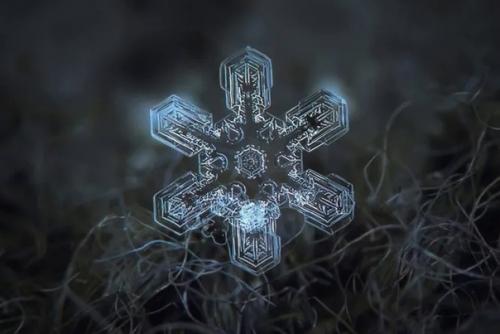 Уникальная красота. Работы московского фотографа Алексея клятова стали известны широкой публике еще в 2013 году. 06