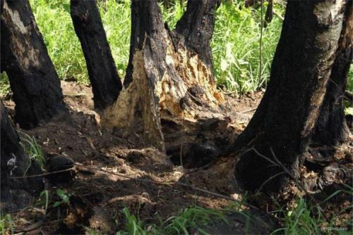 Медведицкая гряда. Ezomir. 04