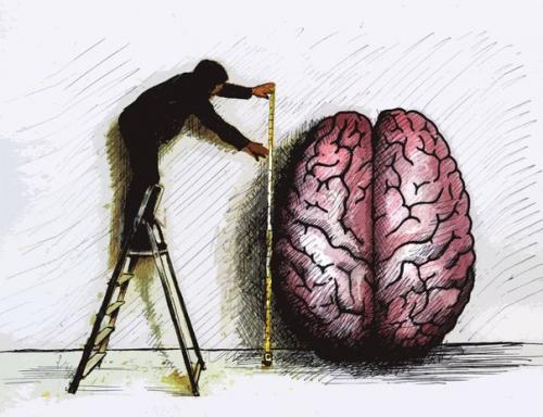 Мы тренируем извилины.

