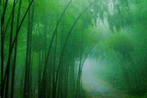 Тайны земные.  На планете немало мест, которые полны загадок и тайн. 03