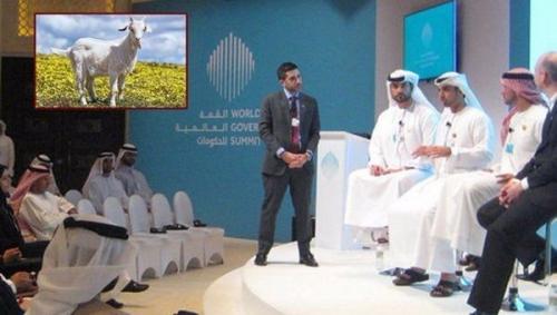 Саудовские ученые решили, что женщины - млекопитающие.