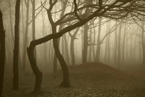 Тайны мира, которым не найдено логического объяснения. 01 Тайны мира, которым не найдено логического объяснения. 01