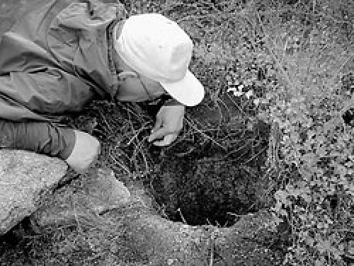 Эрнст мулдашев. Тайны древних цивилизаций. Эрнст мулдашев. Тайны древних цивилизаций.