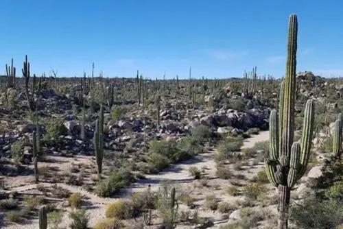 Тайны мира, которым не найдено логического объяснения. 03 Тайны мира, которым не найдено логического объяснения. 03