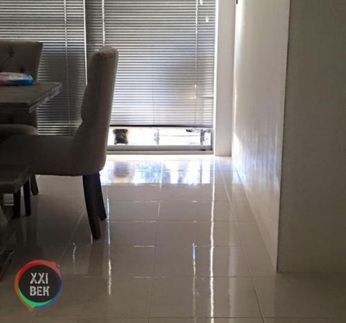 Собаки обычно просто защищают своих владельцев, но Сайрус, двухлетний бульмастиф из перта (западная Австралия), вывел это на новый уровень. 07