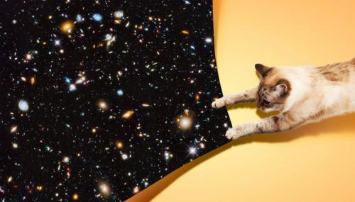 Сколько галактик во вселенной? 

