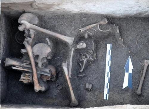 Захоронения на стоянке кокен эпохи бронзы оказались схожи с андроновской культурой. 01 Захоронения на стоянке кокен эпохи бронзы оказались схожи с андроновской культурой. 01