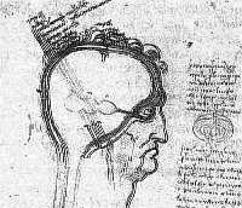 Ли у нас третий глаз есть. Ли у нас третий глаз есть.