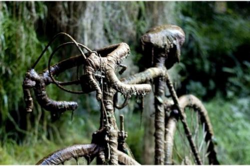 Тайны земные.  На планете немало мест, которые полны загадок и тайн. 02