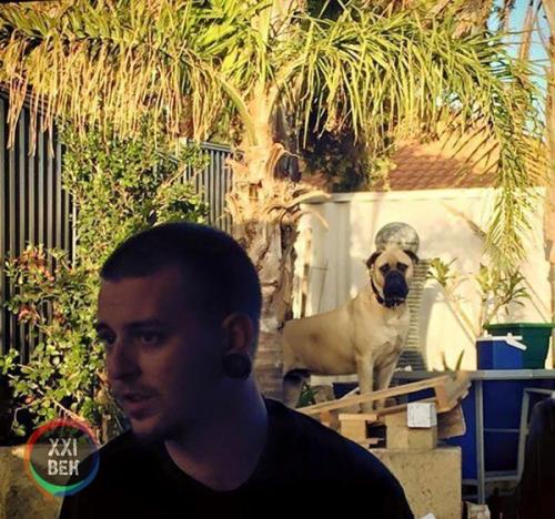 Собаки обычно просто защищают своих владельцев, но Сайрус, двухлетний бульмастиф из перта (западная Австралия), вывел это на новый уровень. 03