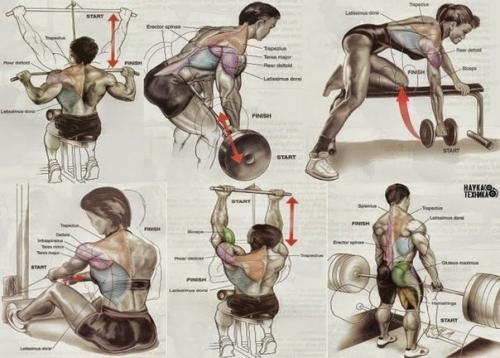Упражнения на все группы мышц. 05