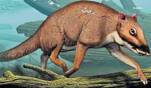 Копытные хищники: кто они были и почему исчезли? 02