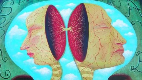 Эти 5 фактов о мозге перевернут ваше представление. 

