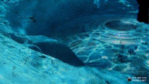 Под воду - к братьям по разуму. Под воду - к братьям по разуму.