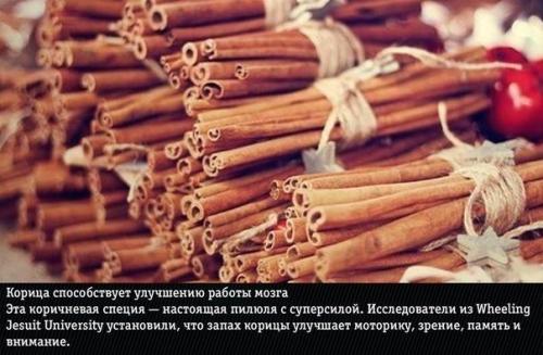 9 природных ароматов, неожиданно меняющие эмоции человека. 05