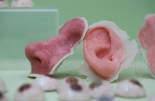 3D-Печать органов прошла испытания в условиях микрогравитации. 3D-Печать органов прошла испытания в условиях микрогравитации.