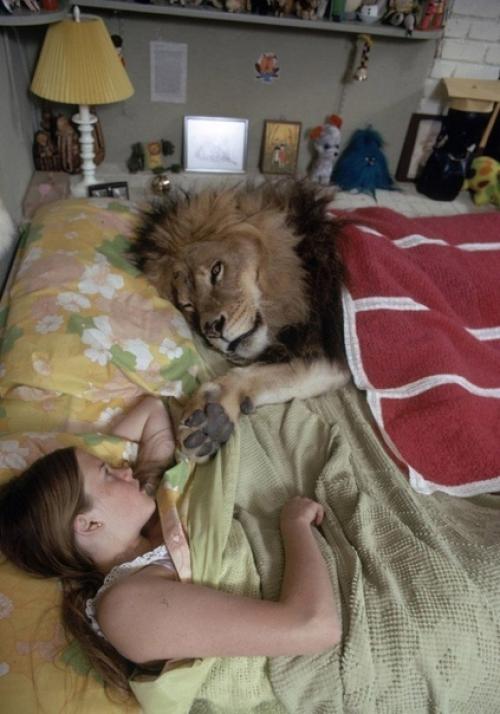 Жизнь со Львом. 05