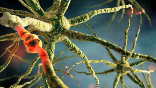 Подобный человеческому мозгу компьютер теперь может стать реальностью.
