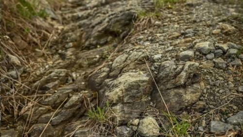 Фpaгмeнты мантии земли обнаружены на поверхности дна исчезнувшего океана. 01 Фpaгмeнты мантии земли обнаружены на поверхности дна исчезнувшего океана. 01