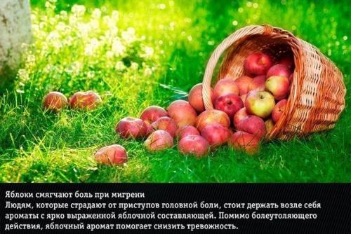 9 природных ароматов, неожиданно меняющие эмоции человека. 03