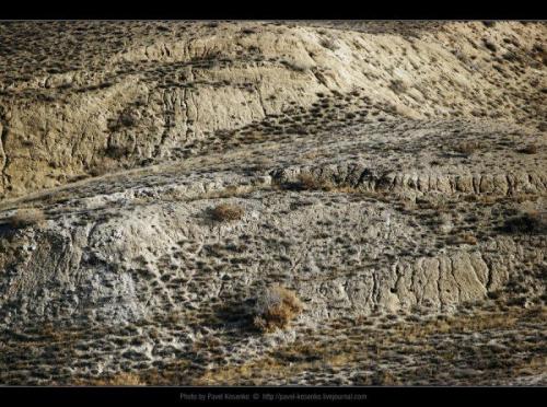 Древние письмена на дне аральского моря. 01