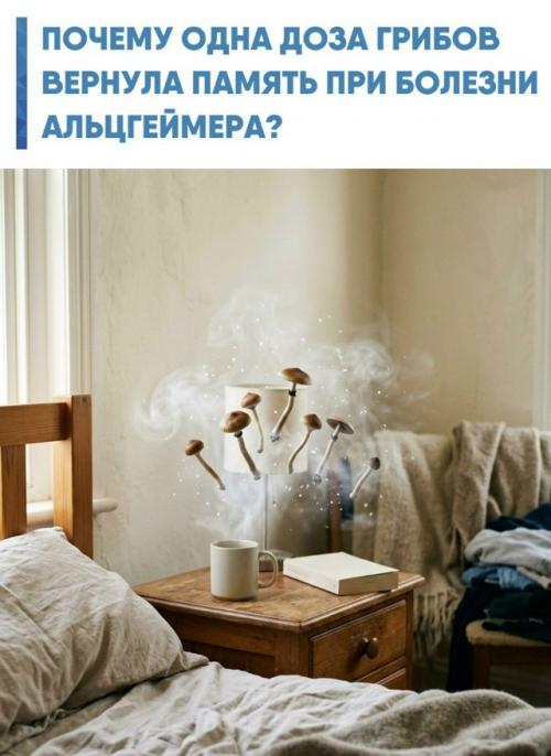 Рост продолжительности жизни обернулся эпидемией нейродегенеративных заболеваний, с которыми современная медицина пока справляется с трудом.  