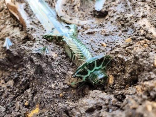 B Гepмании археологи нашли идеально сохранившийся бронзовый меч возрастом в 3000 лет. 01