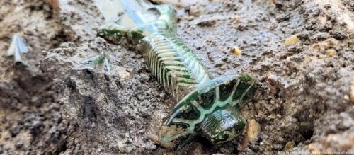 Немецкие археологи нашли идеально сохранившийся бронзовый меч возрастом в 3000 лет. 01