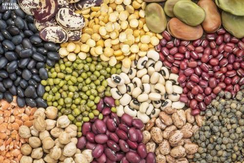 10 самых полезных продуктов на Земле?