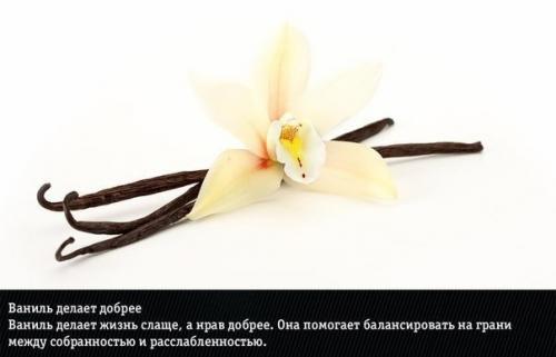 9 природных ароматов, неожиданно меняющие эмоции человека. 07