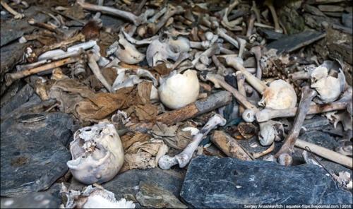 Город мёртвых Цой - педе. 09