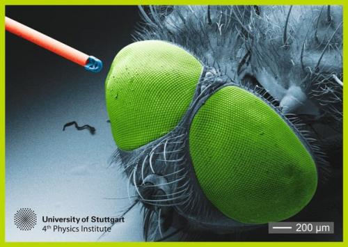 Ученые из Штутгарта самую маленькую систему камер создали. 02