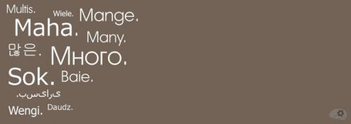 Почему в мире так много языков. Почему языков так много?